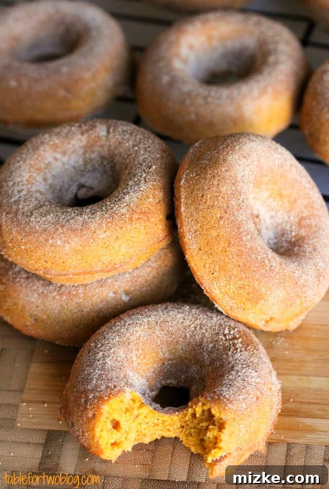 Cozy Pumpkin Spice Cinnamon Sugar Donuts 4 A stack of three Pumpkin Spice Cinnamon Sugar Donuts, highlighting their beautiful presentation.