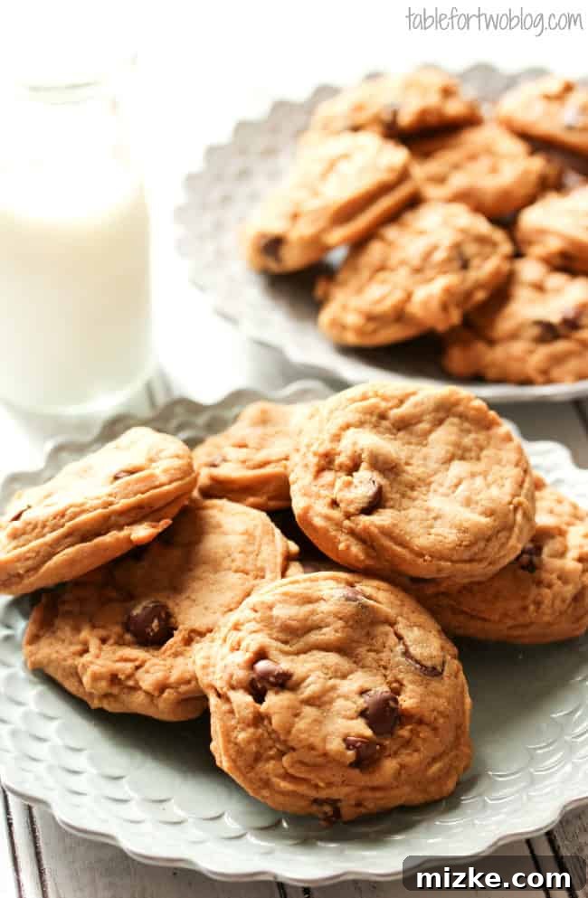 Velvety Butterscotch Cookies 2 Two freshly baked butterscotch pudding cookies, golden brown and inviting, resting on a white plate