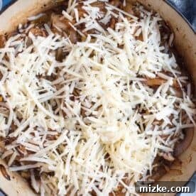 French Onion Smothered Chicken 9 shredded gruyere cheese on top of chicken and onions