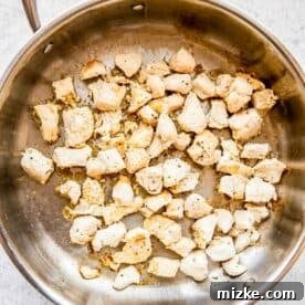 Sun-Kissed Skillet Chicken Pasta 16 Chicken in a stainless steel pan being cooked and browned