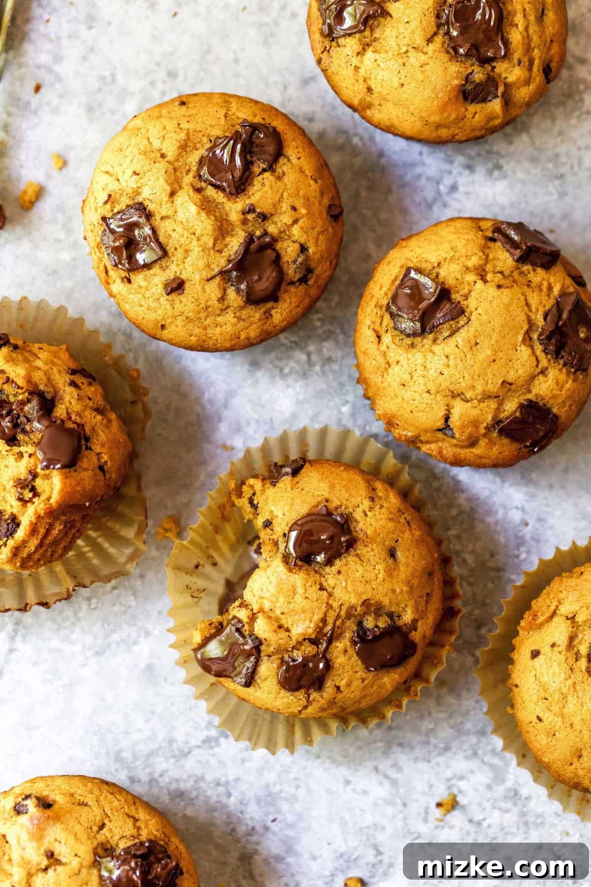 Overhead shot of pumpkin spice chocolate chunk muffins, with bite taken out of one, showcasing their golden-brown tops and rich texture.