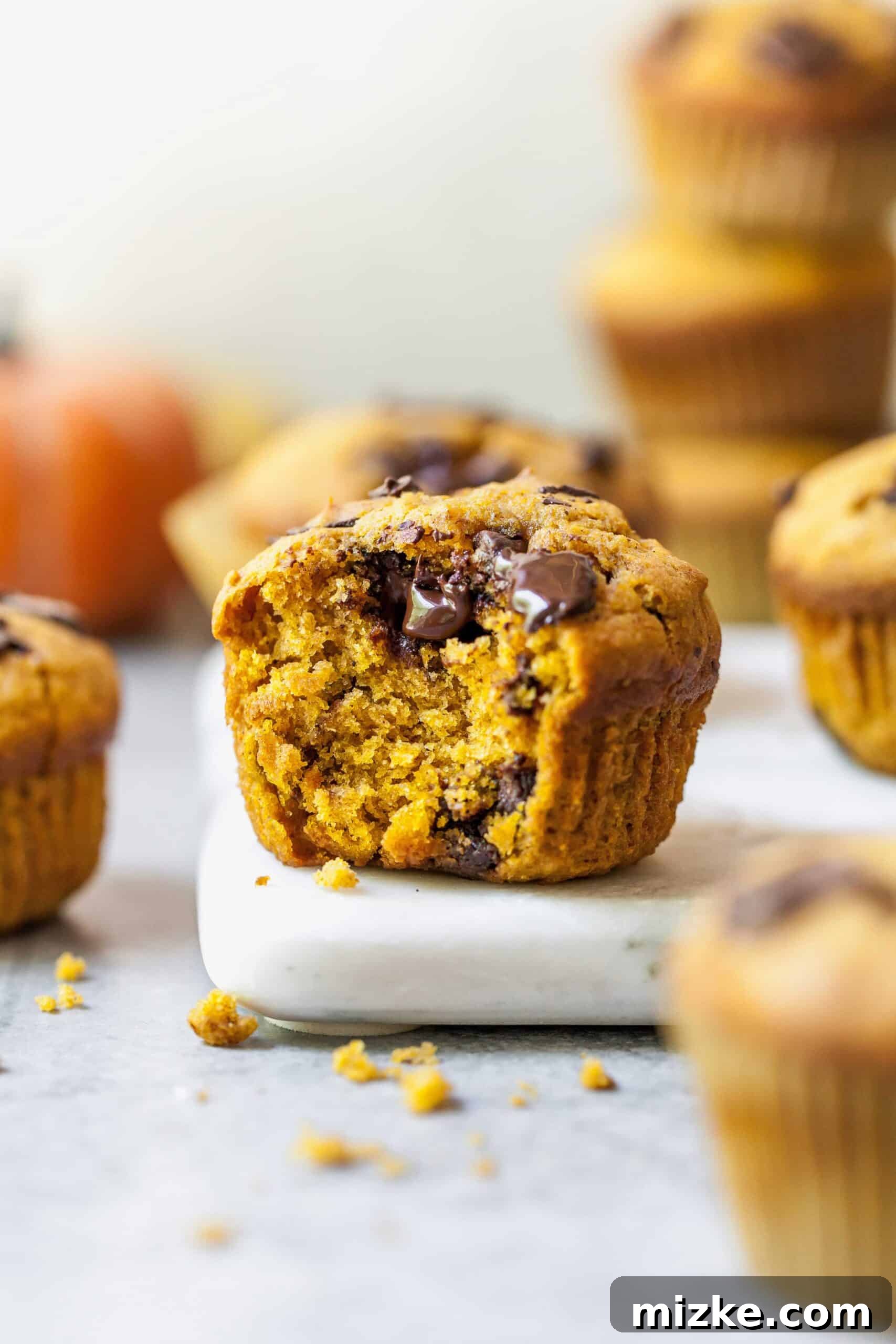 Closeup of a perfectly baked pumpkin chocolate chunk muffin with a bite missing, sitting on a elegant marble countertop.