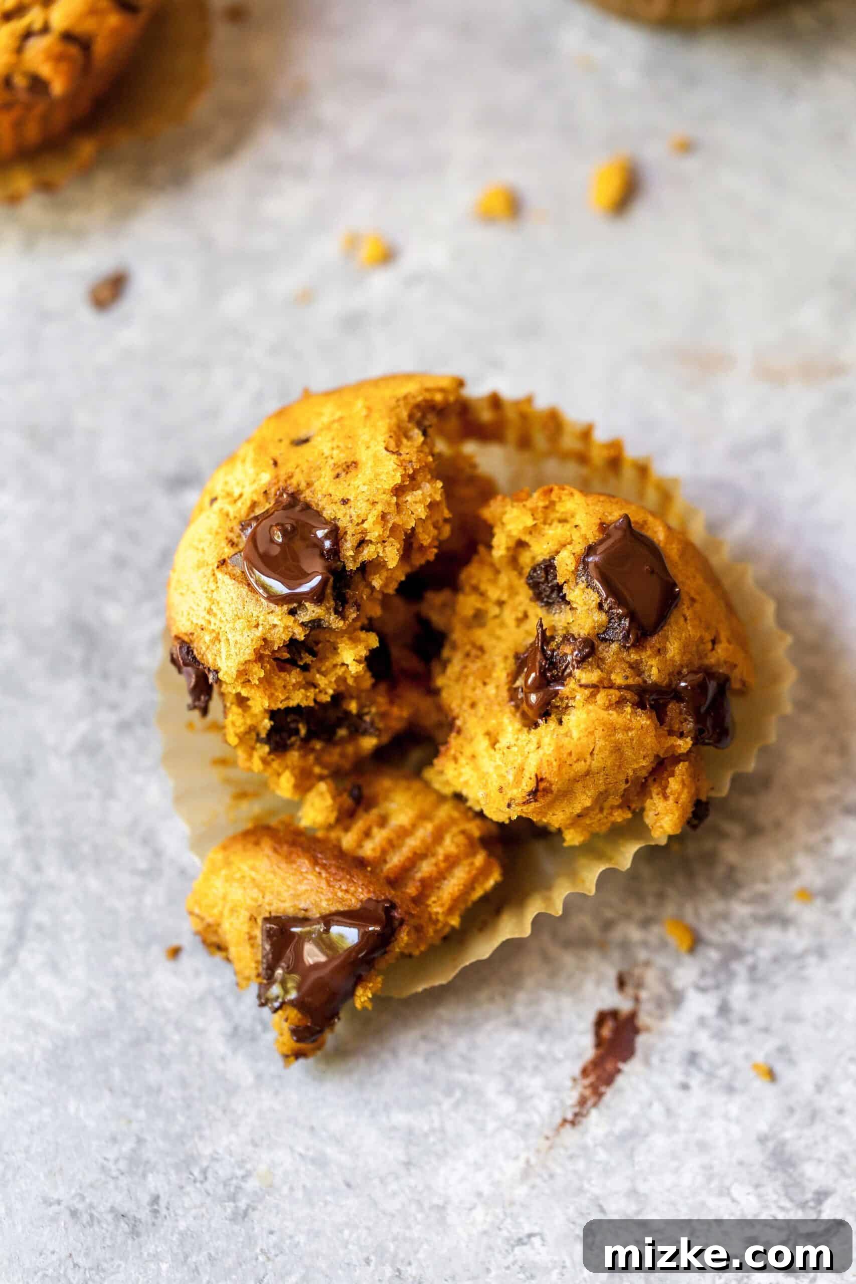 A freshly baked pumpkin chocolate chunk muffin, unwrapped from its cupcake liner and gently torn in half, revealing its tender, spiced interior and pockets of melted chocolate.