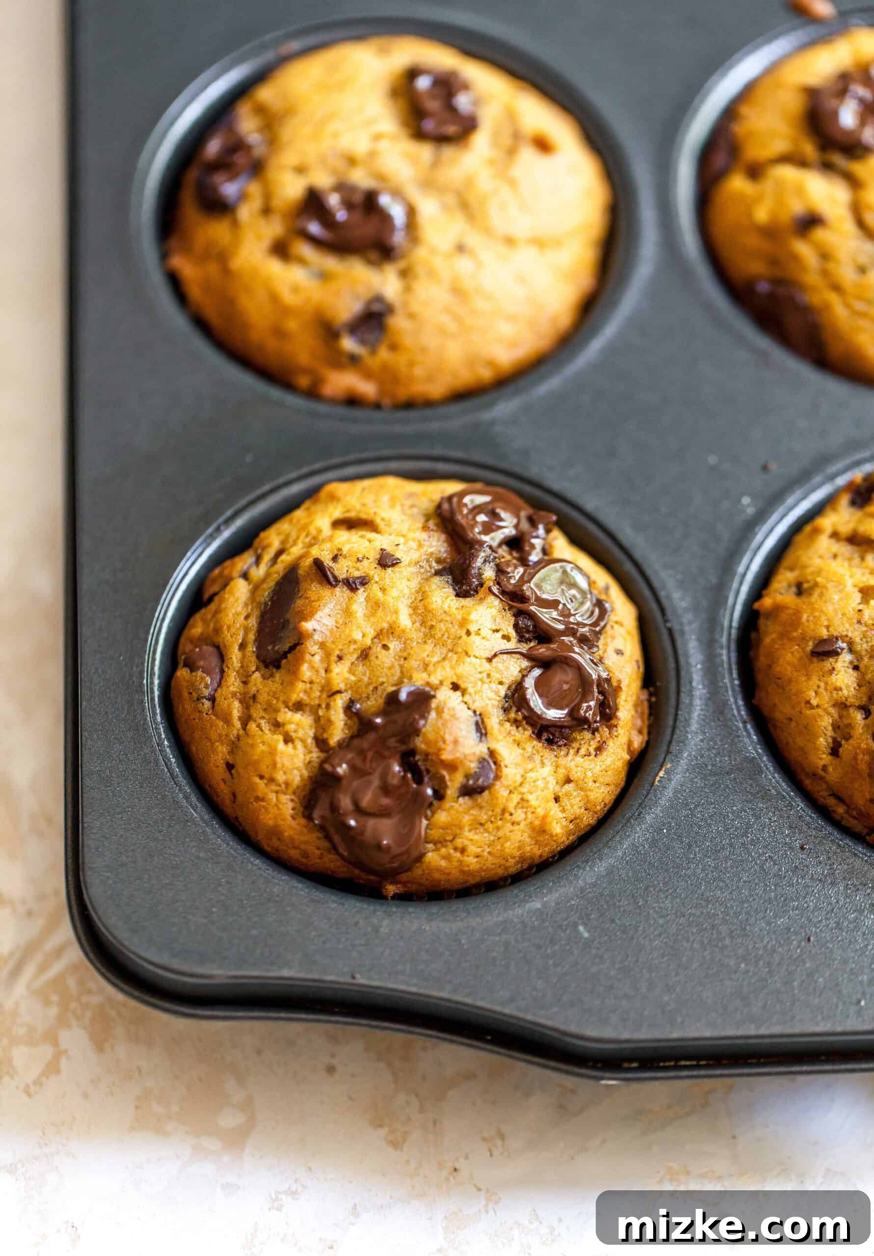 A beautiful close-up of freshly baked pumpkin chocolate chunk muffins cooling gently in a muffin tin, their tops golden and inviting.