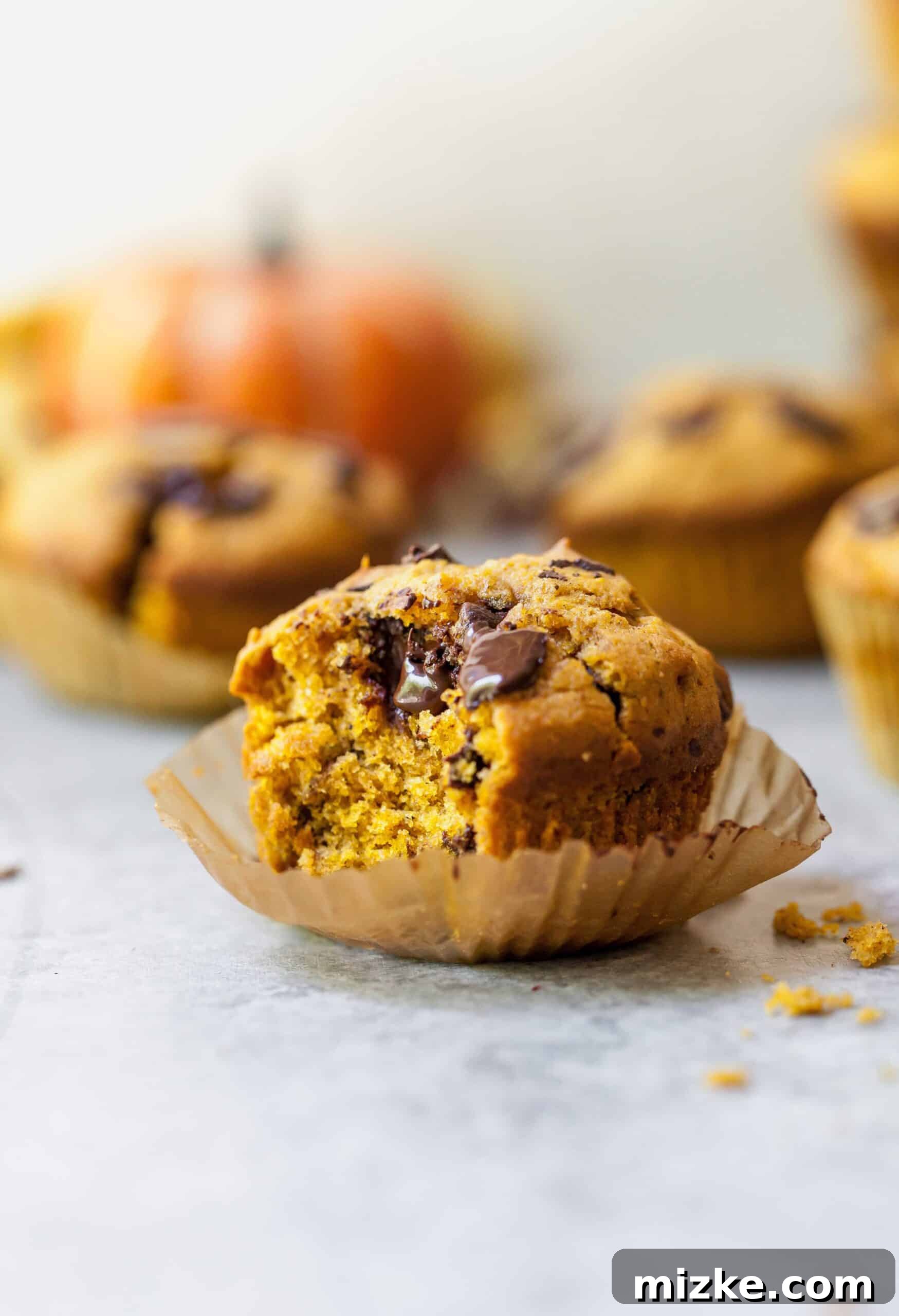 Another beautiful closeup of a pumpkin chocolate chunk muffin with a bite taken out, resting on a pristine marble countertop, highlighting its moist interior and generous chocolate.