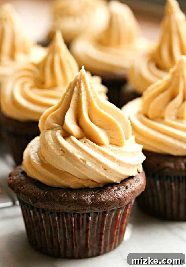 Salted Caramel Chocolate Delights 2 Delicious Salted Caramel Chocolate Cupcakes with rich frosting