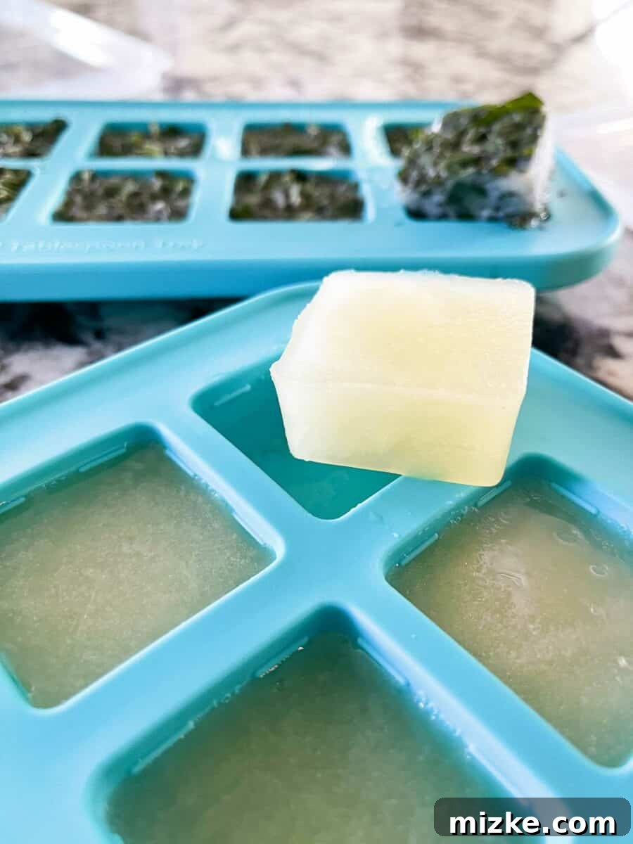 Capture Fresh Flavor: Freezing Herbs and Citrus 2 Freshly picked herbs and bright citrus fruits ready for freezing