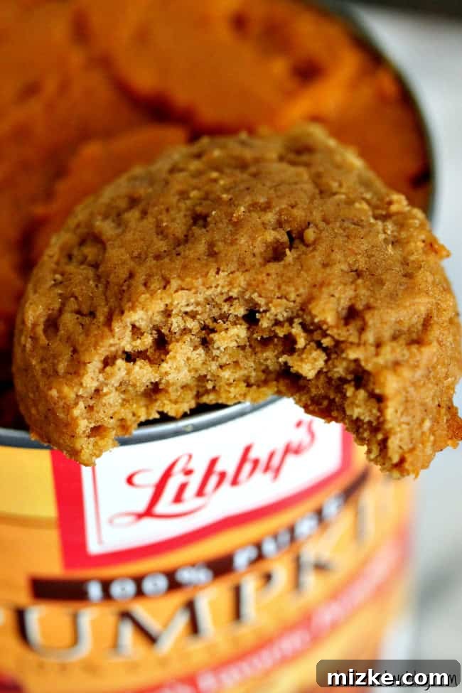 Spiced Pumpkin Peanut Butter Cookies 3 Close-up of freshly baked pumpkin peanut butter cookies with a hint of spice
