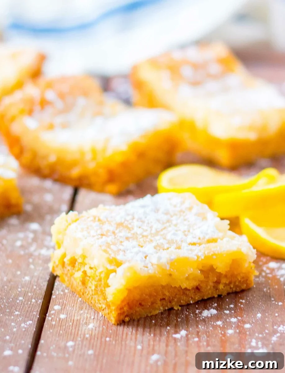 Luscious Lemon Gooey Butter Cake 3 A few slices of lemon are placed next to a piece of gooey lemon cake.