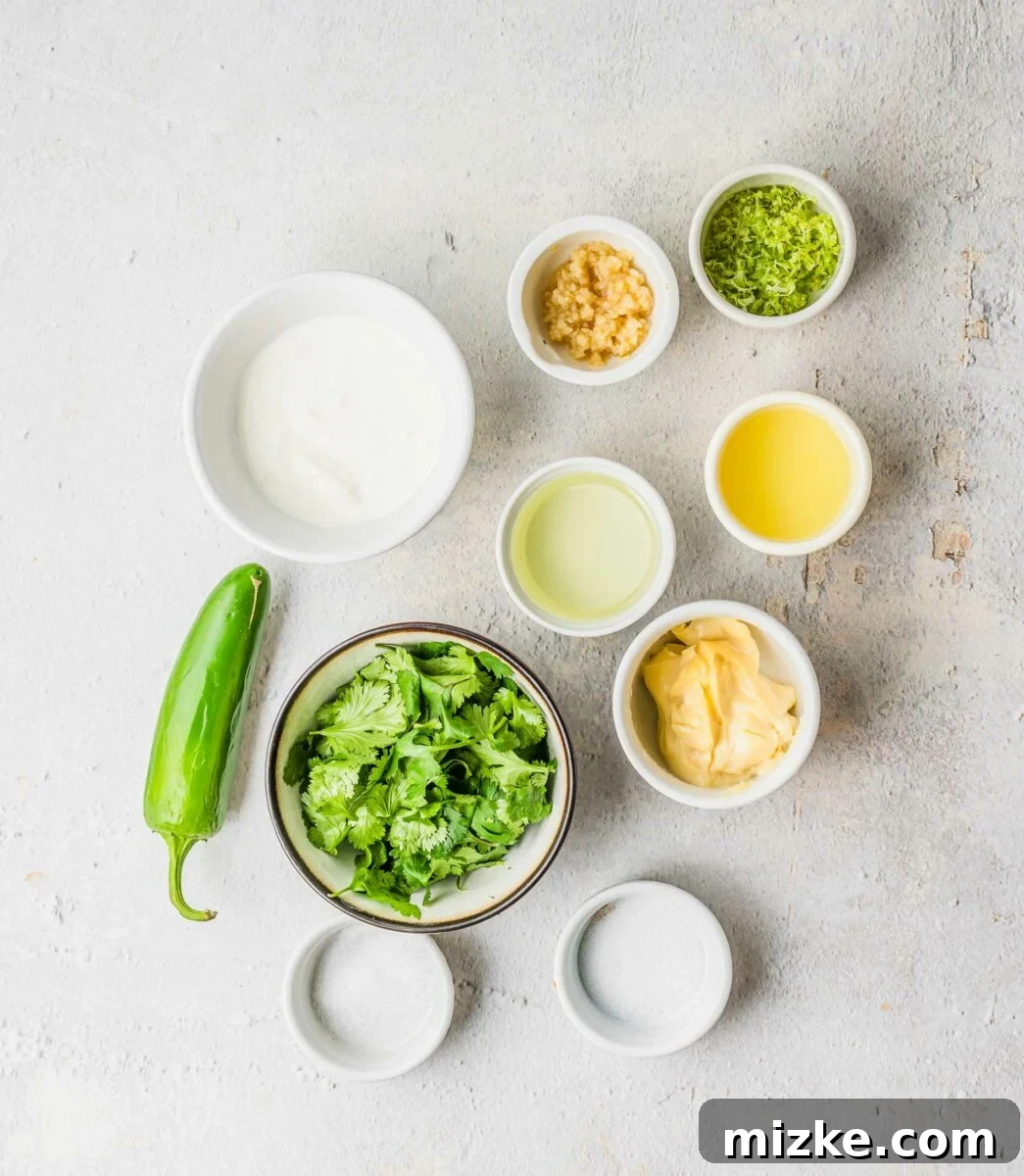Zesty Cilantro Lime Cream Kick 6 The vibrant fresh ingredients for creamy cilantro dressing are artfully arranged on a white surface.