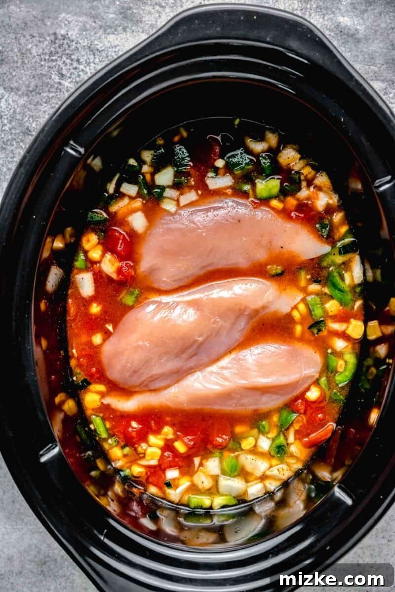 Easy Slow Cooker Chicken Tortilla Soup 4 all ingredients in slow cooker chicken tortilla soup in the insert of a slow cooker
