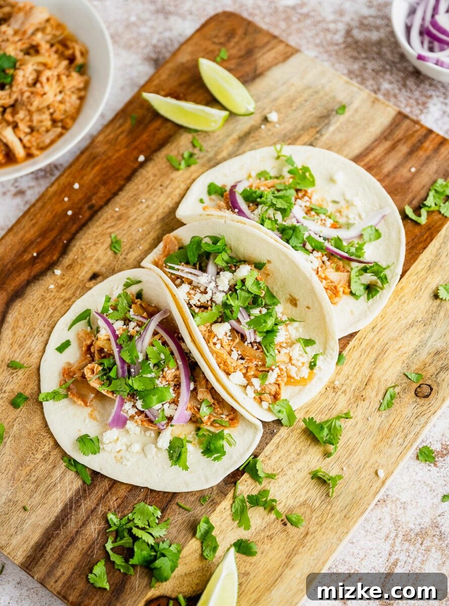 Easy Slow Cooker Chicken Tinga Tacos 3 Close-up shot of three chicken tinga tacos topped generously with fresh cilantro.