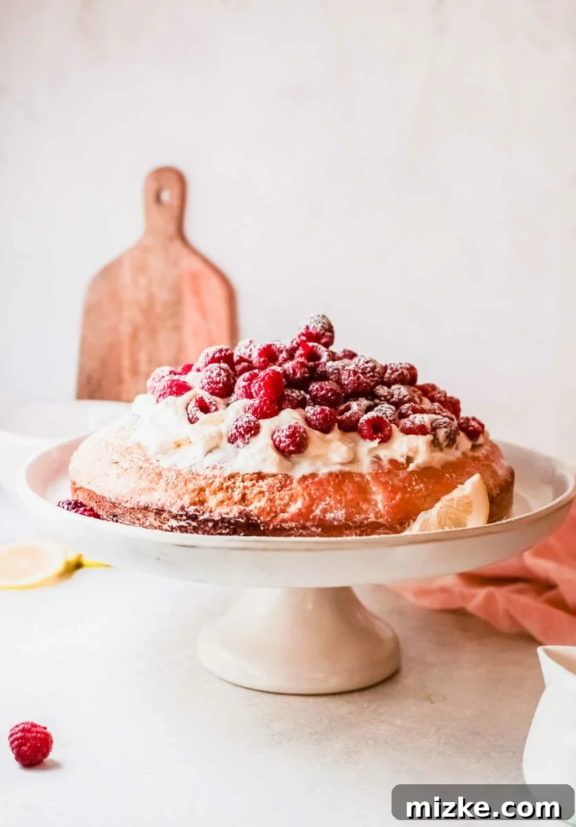 Sun-Kissed Raspberry Olive Oil Cake 2 A beautifully presented Raspberry Olive Oil Cake on a pristine white cake stand, garnished with vibrant fresh raspberries.