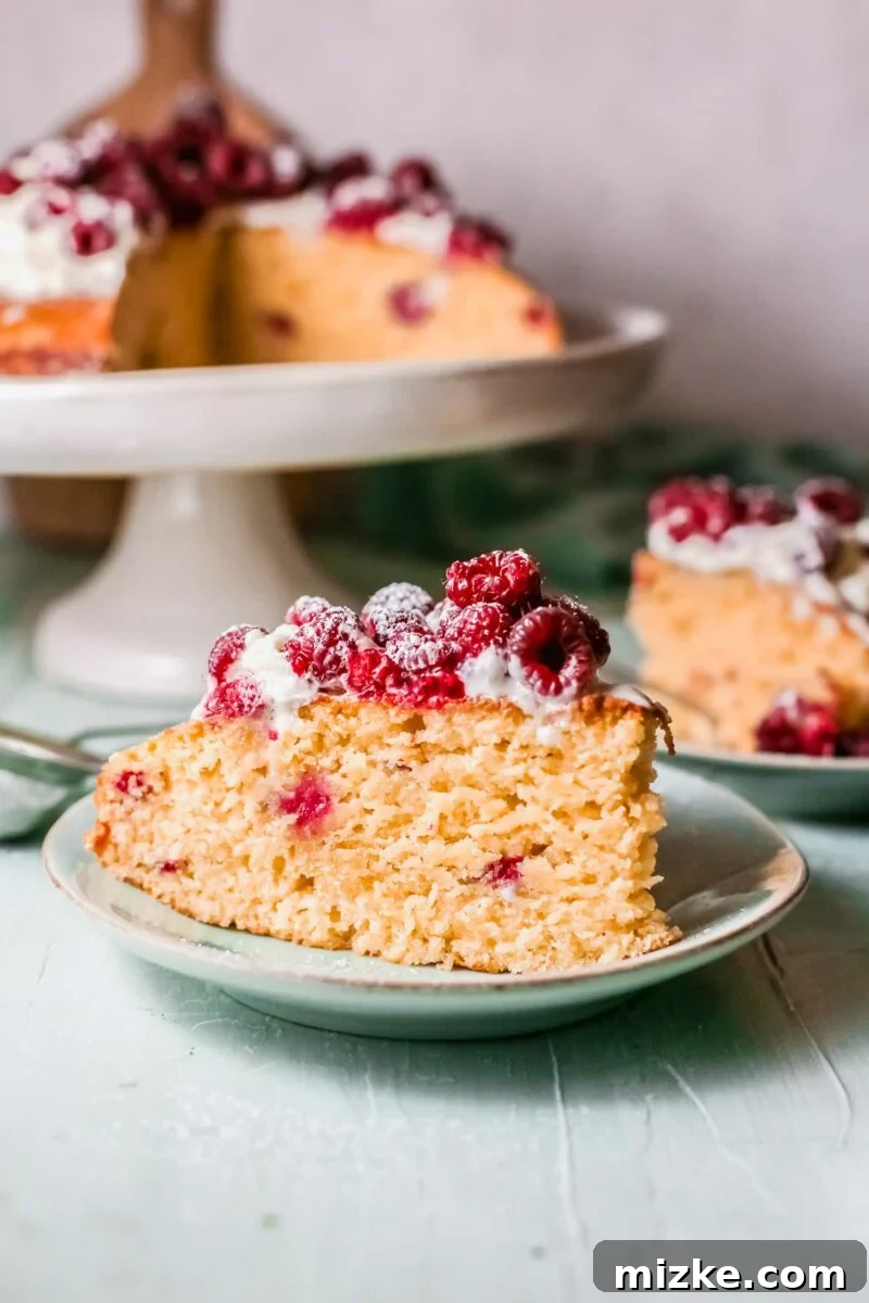 Sun-Kissed Raspberry Olive Oil Cake 4 A delectable piece of Raspberry Olive Oil Cake, beautifully adorned with generous dollops of whipped cream and a sprinkle of fresh berries.