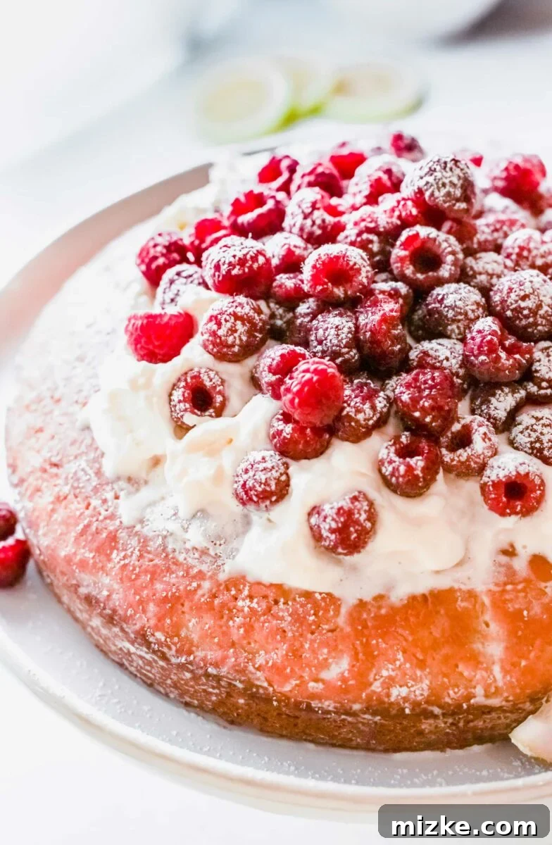 Sun-Kissed Raspberry Olive Oil Cake 6 A stunning vibrant pink Raspberry Olive Oil Cake, generously crowned with swirls of fluffy whipped cream and an abundance of fresh, juicy berries.