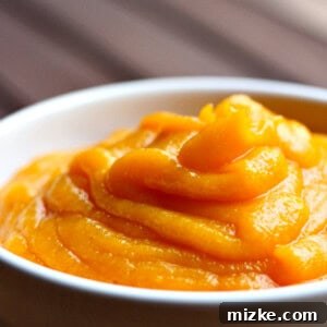 A close-up shot of creamy butternut squash puree in a decorative white bowl, ready to be served.