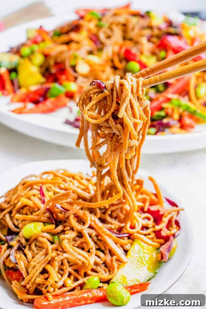 Velvety Peanut Soba Salad 2 Chopsticks are lifting a bite sized potion of noodles from the bowl.