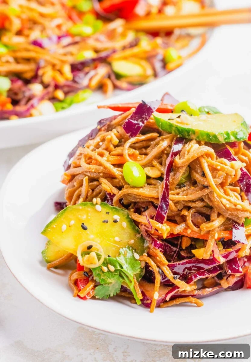 Velvety Peanut Soba Salad 4 Vegetables and noodles are tossed and placed on a white plate.