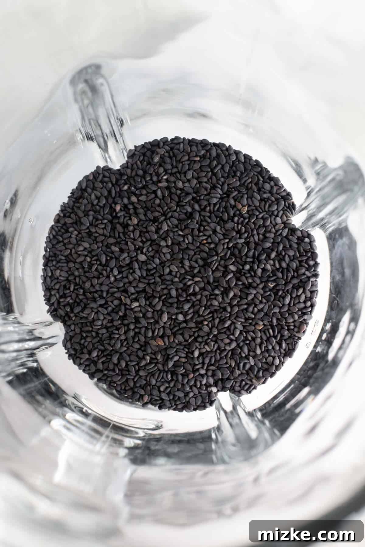 Midnight Sesame Dream 5 black sesame seeds in a glass blender jar