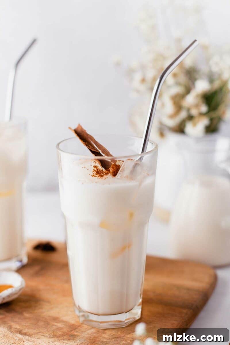 Whip Up Homemade Horchata Easily 3 A metal straw is elegantly placed in a clear glass cup filled with Horchata, garnished with a sprinkle of cinnamon.