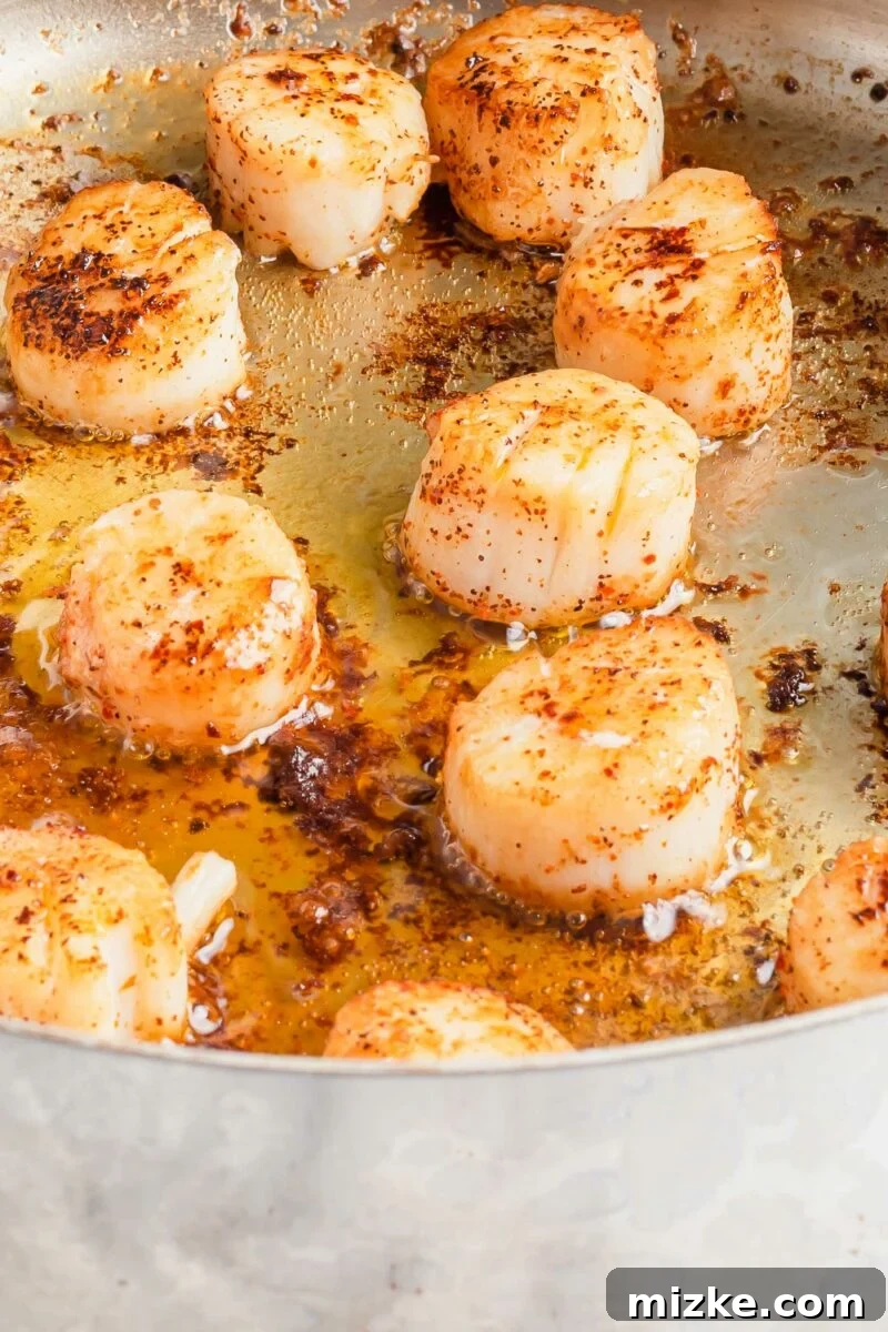 Seared Cajun Brown Butter Scallops 6 Fresh scallops are actively searing in avocado oil within a large, preheated skillet, developing a golden crust.