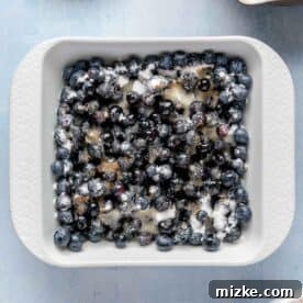 Fresh blueberries are tossed with sugar, butter, and vanilla in a white square baking dish, creating the base layer for the dump cake.