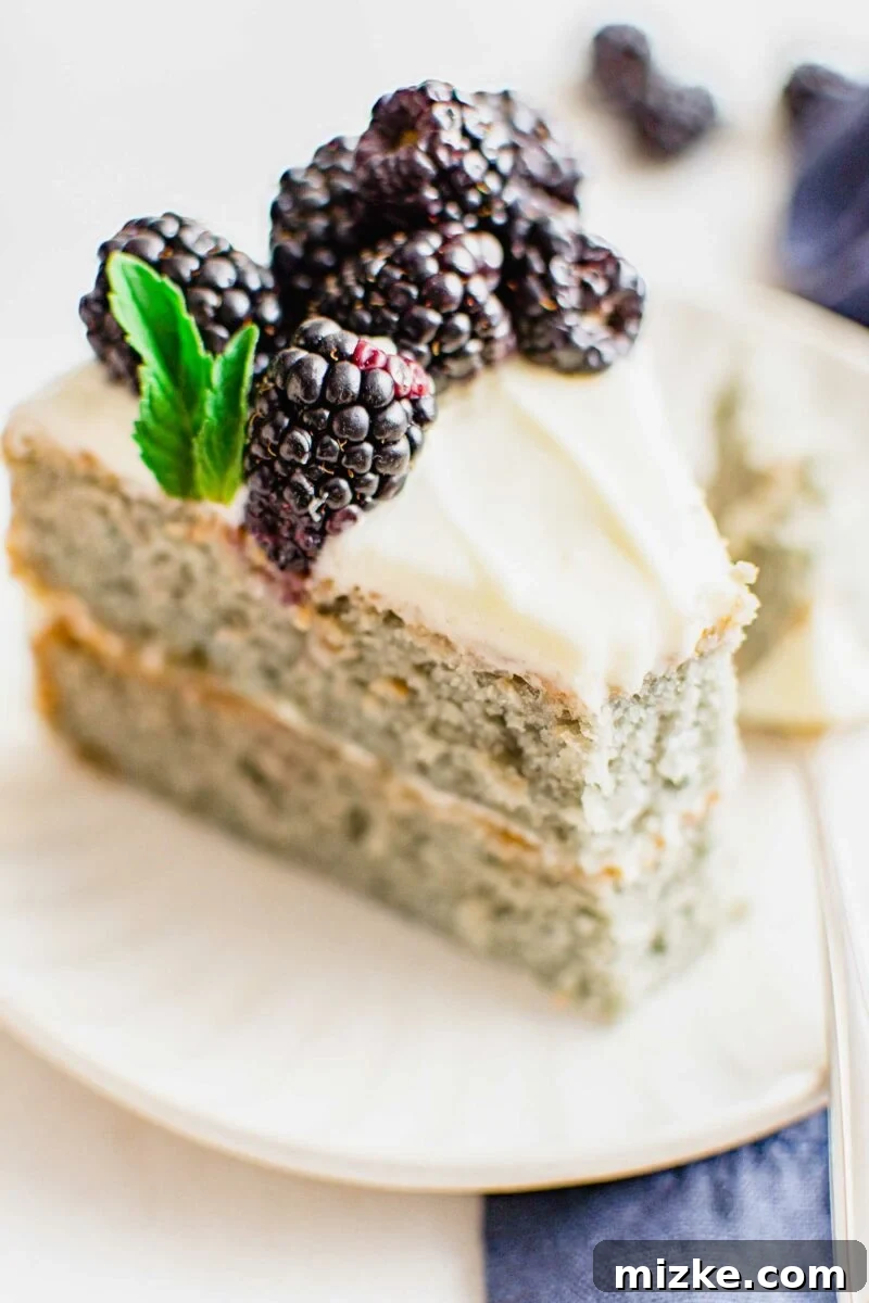 A close-up shot of a slice of blackberry cake with a bite removed, emphasizing its moist interior and generous, creamy frosting.