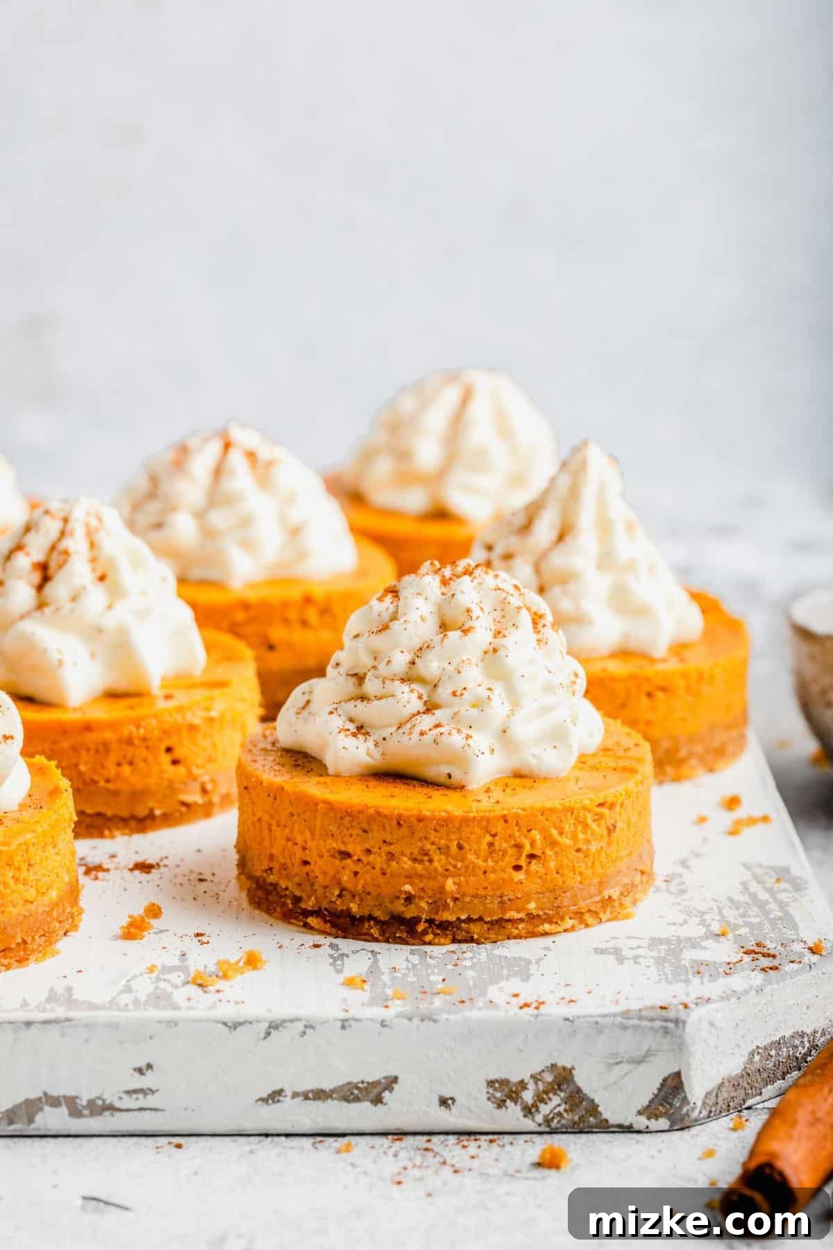 Creamy mini pumpkin cheesecake bites are the perfect crowd-friendly Thanksgiving dessert filled with mouthwatering pumpkin flavor. Close up of a mini pumpkin cheesecake bite dusted with cinnamon, with more of them surrounding it