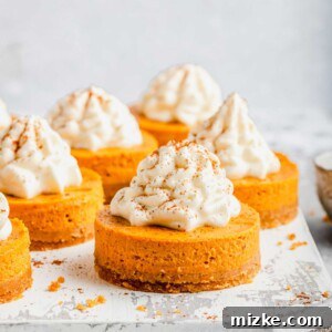 Close up of a mini pumpkin cheesecake bite dusted with cinnamon, with more of them surrounding it