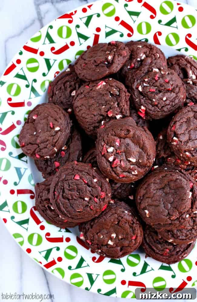 Mint Chocolate Chip Holiday Bites 3 Close-up of freshly baked Chocolate Peppermint Chip Cookies, showcasing their delightful texture and peppermint pieces.