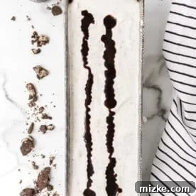 Oreo Cookie Bliss 15 Lines of hot fudge topping artistically drizzled over the smooth surface of the ice cream mixture, ready for swirling.