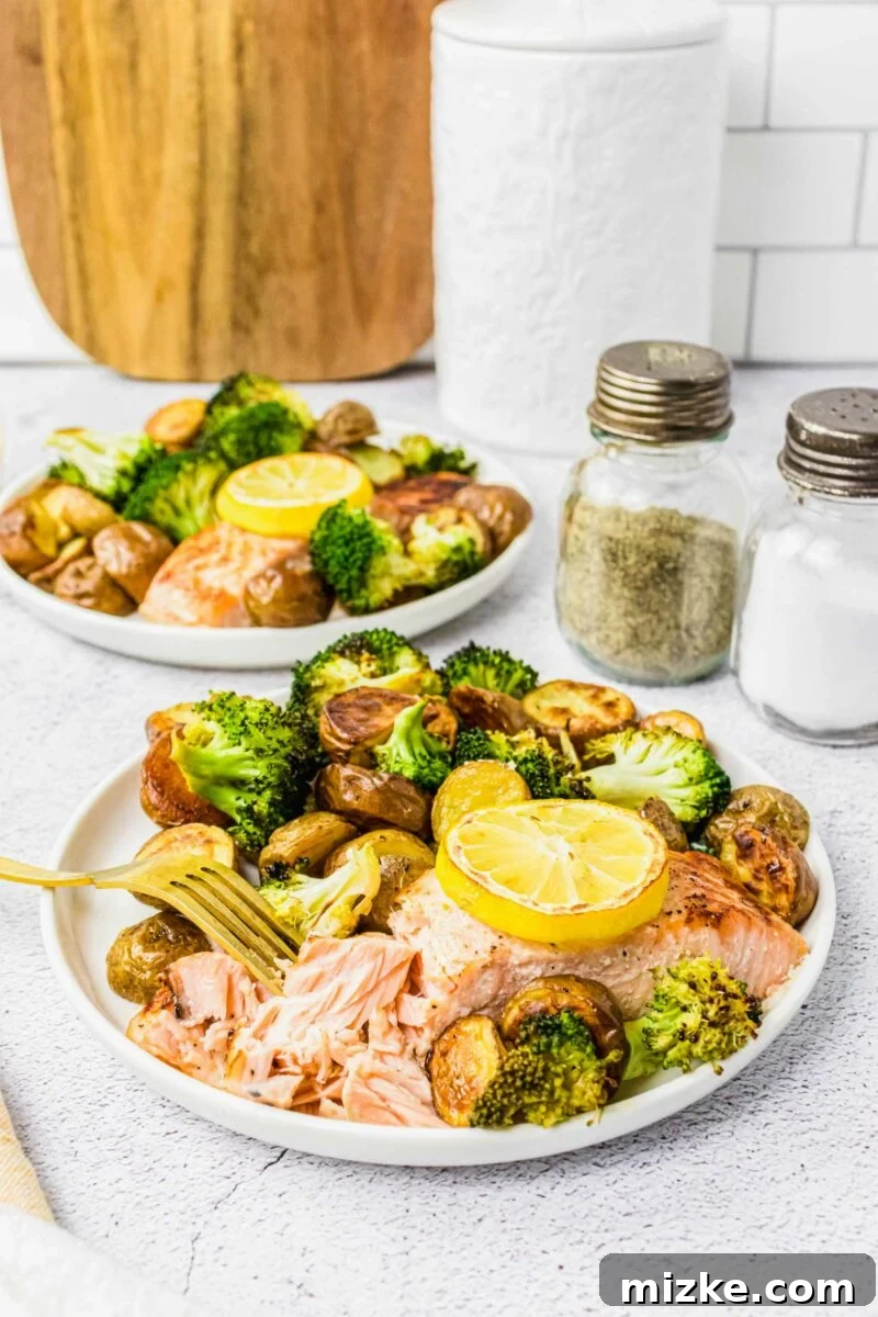 A salmon filet is being shredded by a fork, revealing perfectly cooked pink flaky meat. 