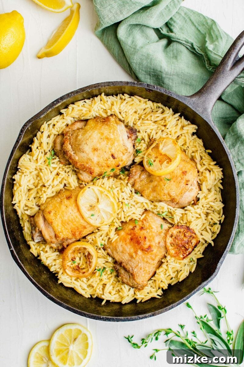 Zesty Lemon Garlic Chicken Orzo Skillet 2 A Dutch oven brimming with golden-brown chicken thighs, creamy orzo, and vibrant lemon slices, ready to be served.