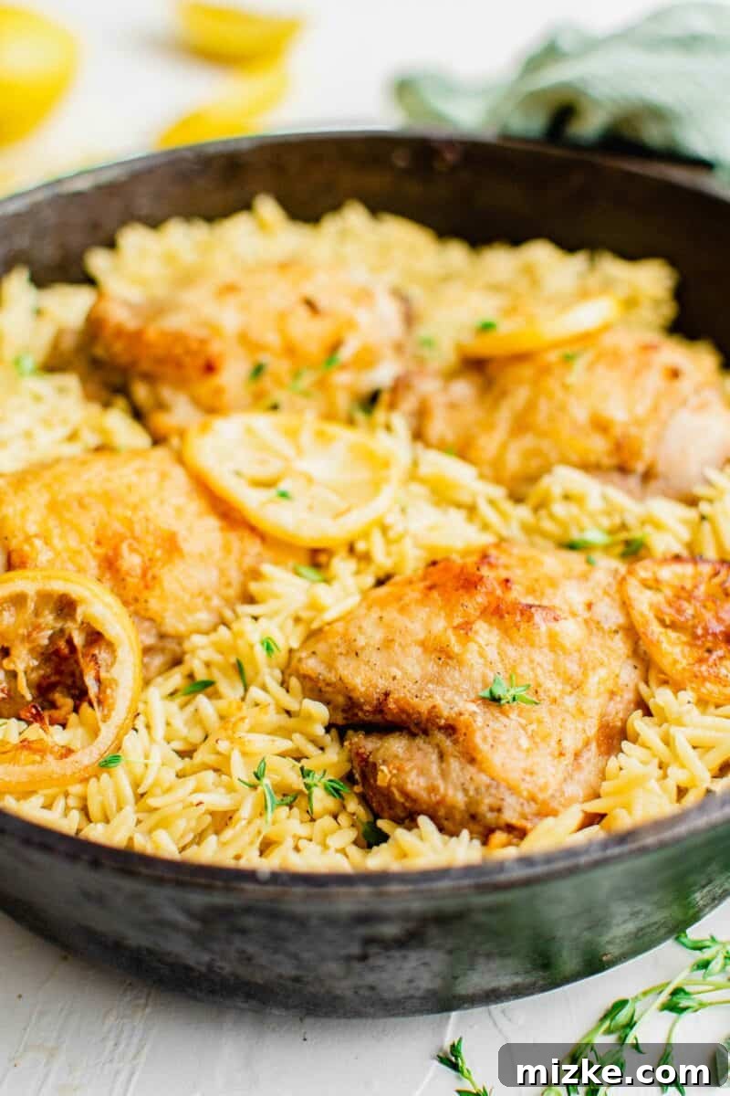 Zesty Lemon Garlic Chicken Orzo Skillet 3 A large skillet filled to the brim with creamy orzo, perfectly cooked chicken pieces, and fresh lemon slices, garnished with herbs.