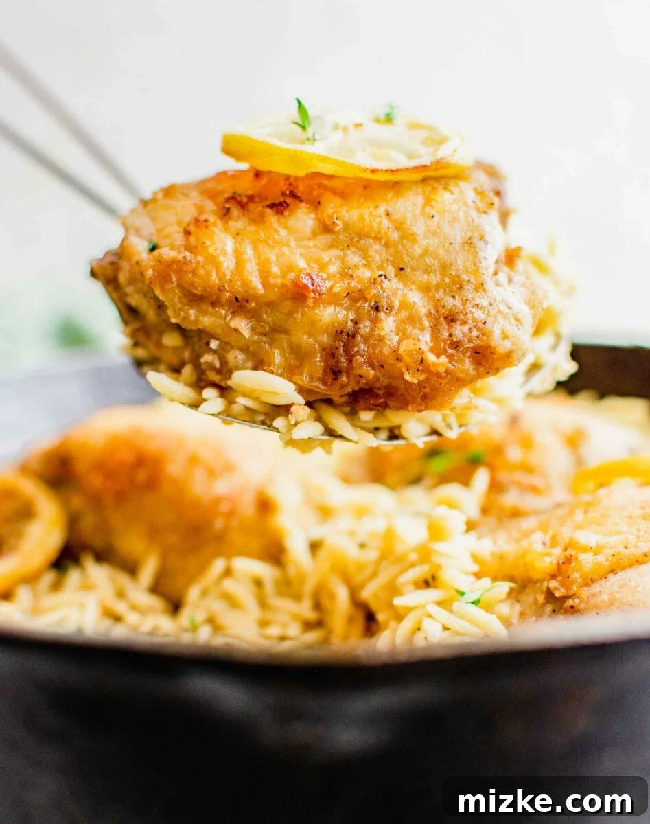 Zesty Lemon Garlic Chicken Orzo Skillet 4 A hand lifting a piece of golden-brown chicken and a spoonful of creamy orzo from a large cooking pan.