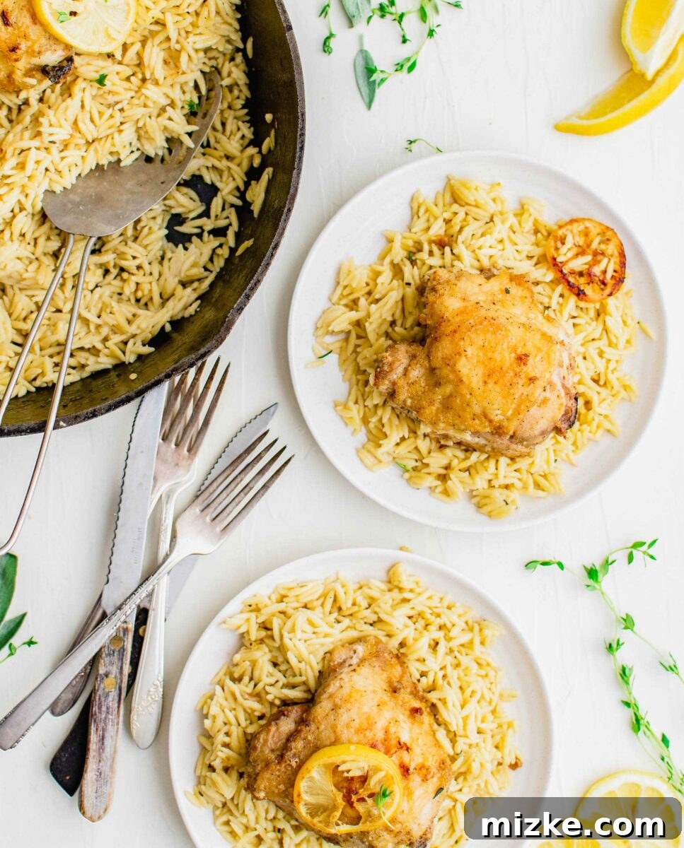 Zesty Lemon Garlic Chicken Orzo Skillet 5 Multiple white plates, each generously portioned with creamy garlic lemon chicken orzo, accompanied by forks and knives on a dining table.