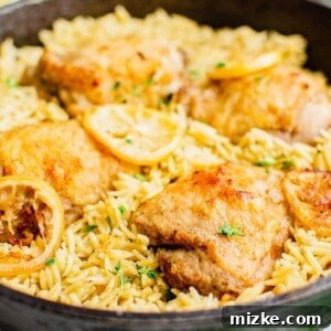 A close-up shot of a single serving of One-Pot Garlic Lemon Chicken Orzo, garnished with fresh herbs, in a rustic bowl.