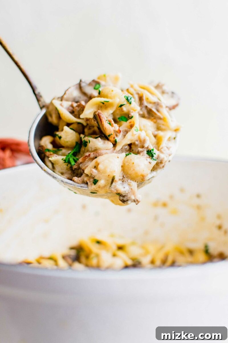 Baked Four Cheese Beef Stuffed Shells 3 A serving spoon is lifting a helping of cheesy beefy pasta from the pot.