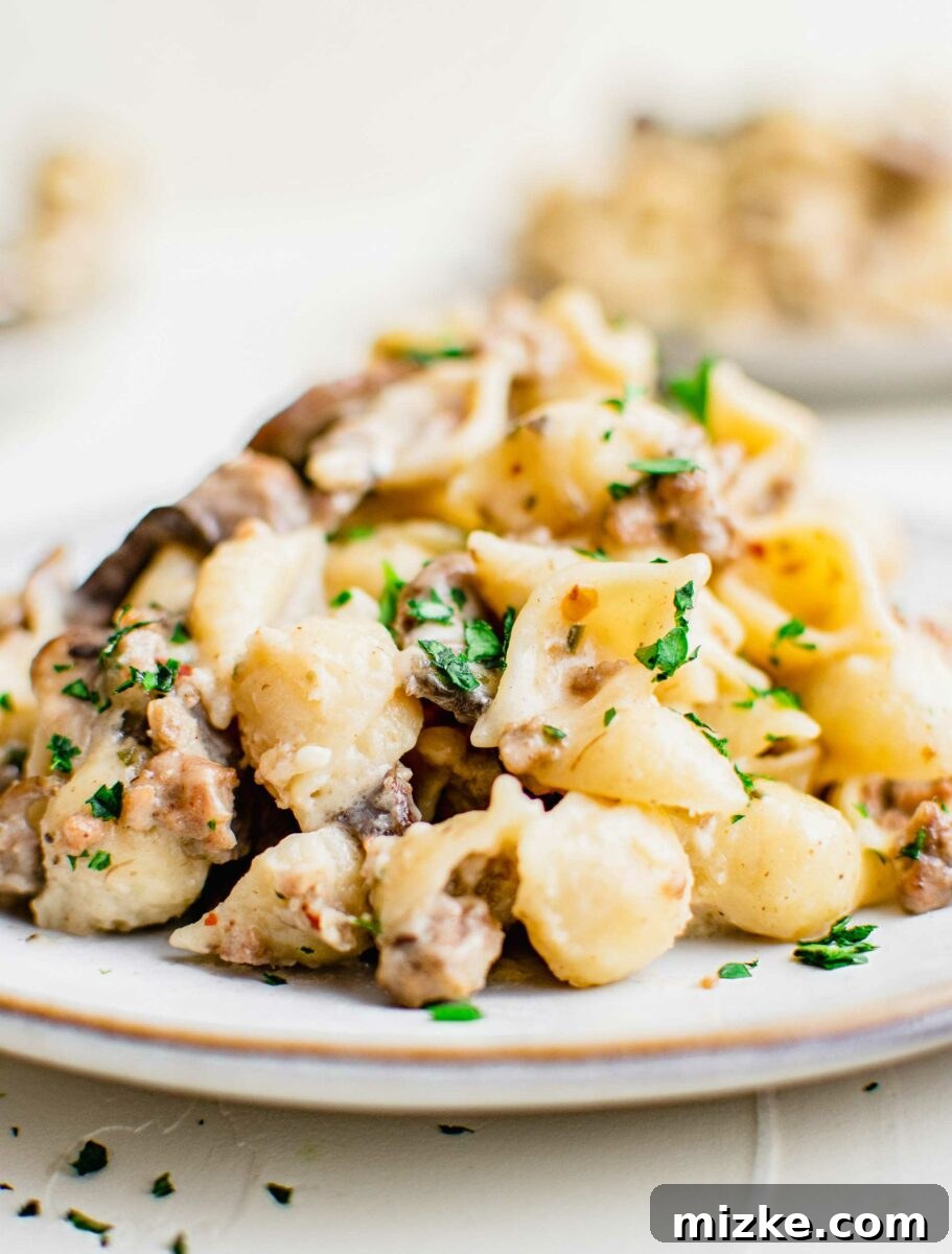 Baked Four Cheese Beef Stuffed Shells 5 A plate is topped with a heaping serving of pasta.