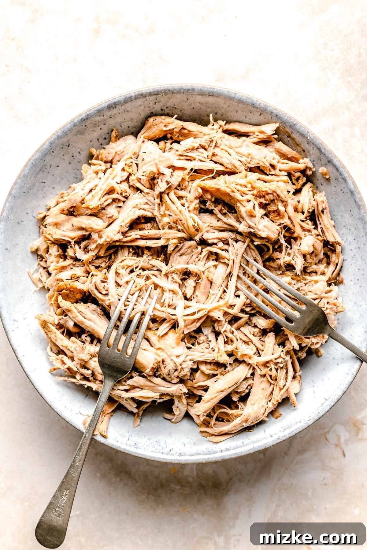 Shredding the perfectly cooked pork with ease. Shredding a cooked pork roast into fine strands using two forks in a large bowl.