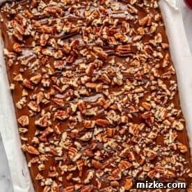 Finely chopped pecans generously sprinkled on top of the melted chocolate layer, adding a delightful crunch and nutty flavor