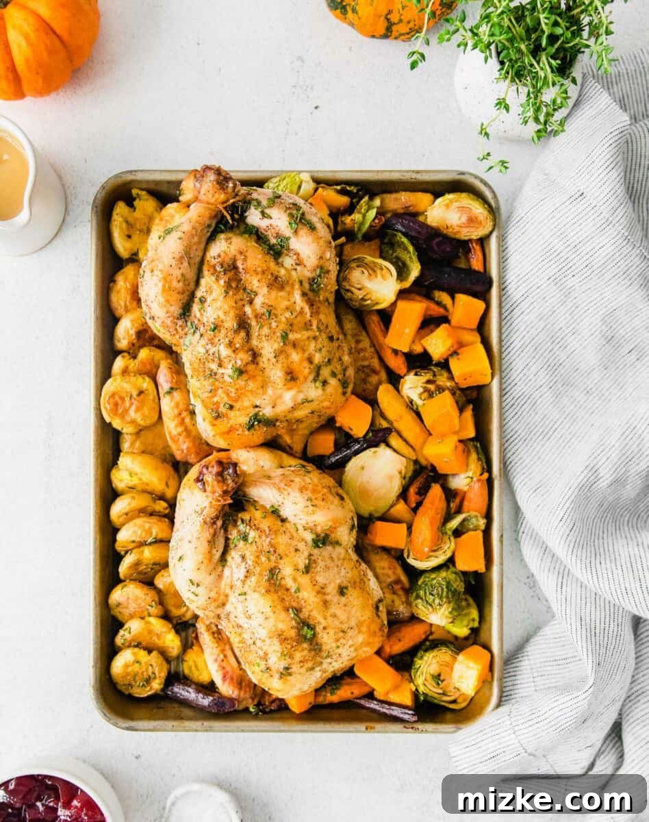 Sheet Pan Thanksgiving: Minimal Effort, Maximum Flavor 2 Two golden-brown baked Cornish hens are perfectly arranged on a sheet pan, surrounded by vibrant roasted vegetables and fluffy smashed potatoes, ready to serve.