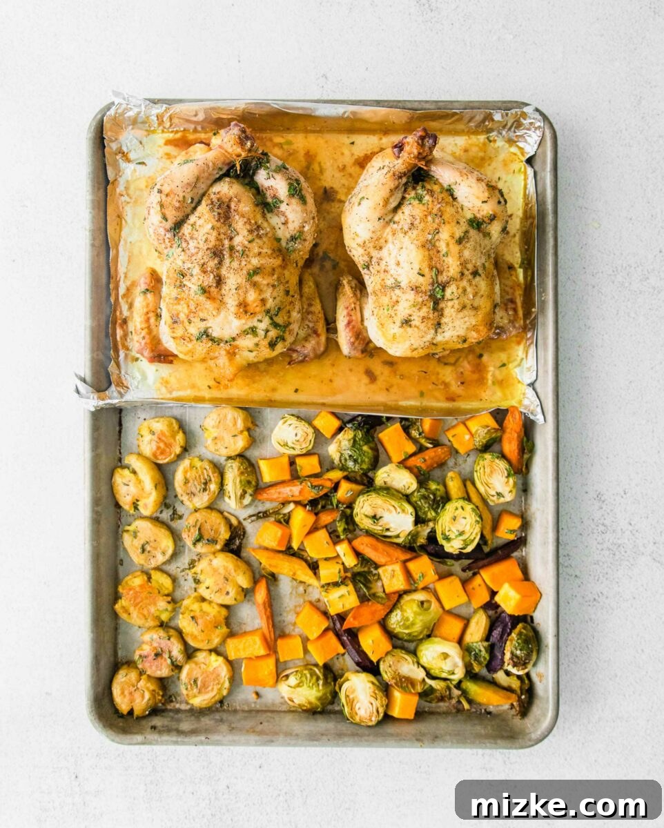 Sheet Pan Thanksgiving: Minimal Effort, Maximum Flavor 6 Two roasted Cornish hens arranged on one half of a large baking sheet, with a vibrant assortment of golden smashed potatoes and caramelized root vegetables filling the other half.
