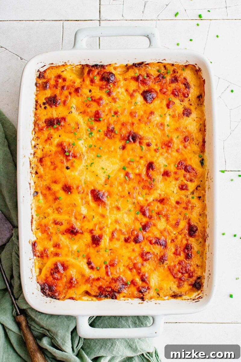 Rich and Creamy Potato Gratin 2 Casserole dish filled with golden-brown scalloped potatoes, garnished with fresh chopped chives.