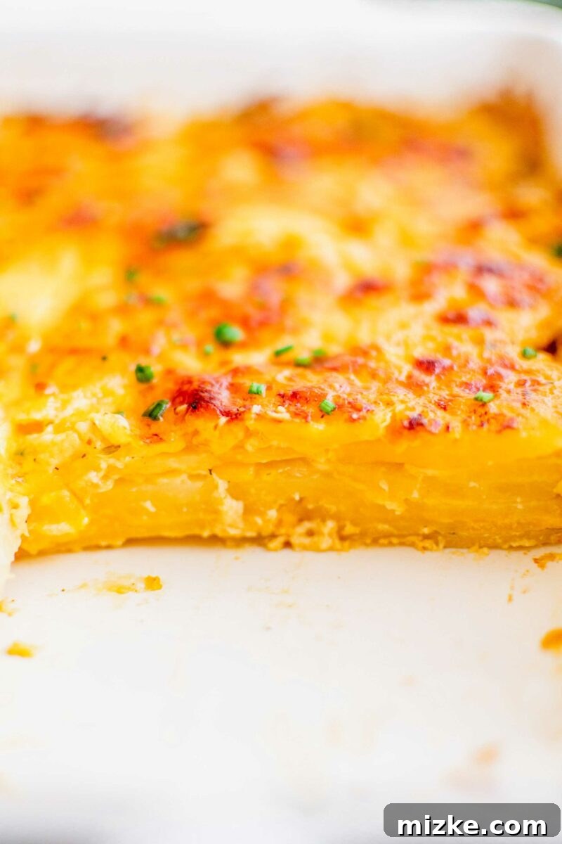 Rich and Creamy Potato Gratin 3 A serving of scalloped potatoes showing perfectly cooked layers.