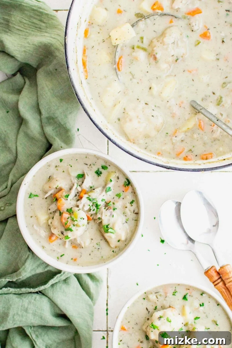 Hearty Leftover Turkey Dumpling Soup 5 A ladle is placed in a full pot of soup, next to a small garnished bowl.