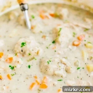 A garnished bowl of Leftover Turkey and Dumpling Soup.