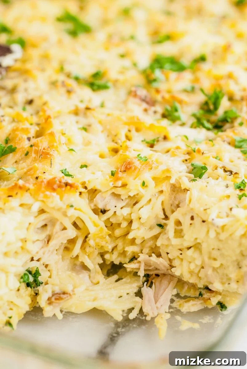Creamy Turkey Tetrazzini 3 A slice of turkey tetrazzini has been removed from a baking dish, showcasing its creamy texture and golden, bubbly top crust.