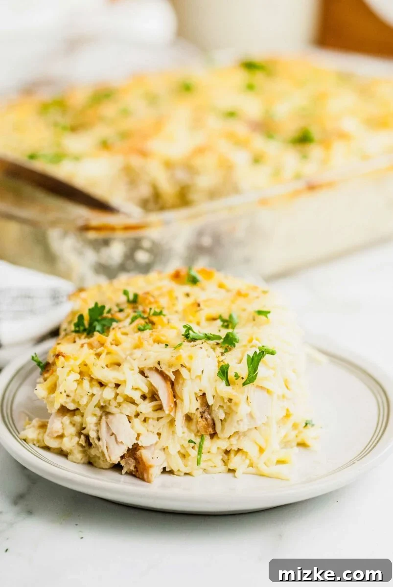 Creamy Turkey Tetrazzini 5 A generous serving of turkey tetrazzini is presented on a white plate, garnished with fresh parsley for color.