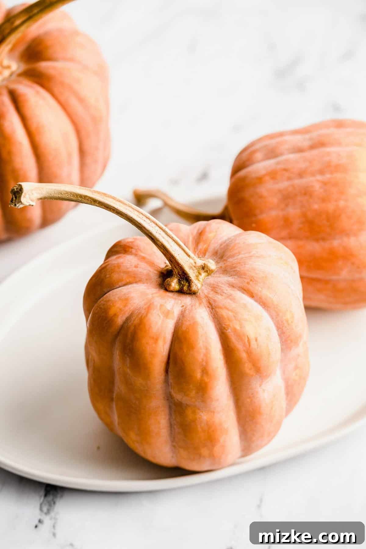 Golden Roasted Koginut Squash 3 A beautiful, intact whole koginut squash displayed on a simple white platter, showcasing its unique frosted orange hue.